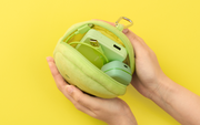 SMISKI Cushion Pouch P4