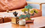 Play Plants Bonsai Puzzles H8