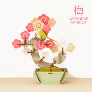 Play Plants Bonsai Puzzles H8