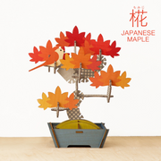 Play Plants Bonsai Puzzles H8