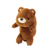 Posture Pal N1