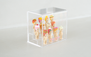 Acrylic Display Case K8