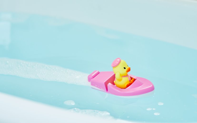 Duck Sailor Boat N6