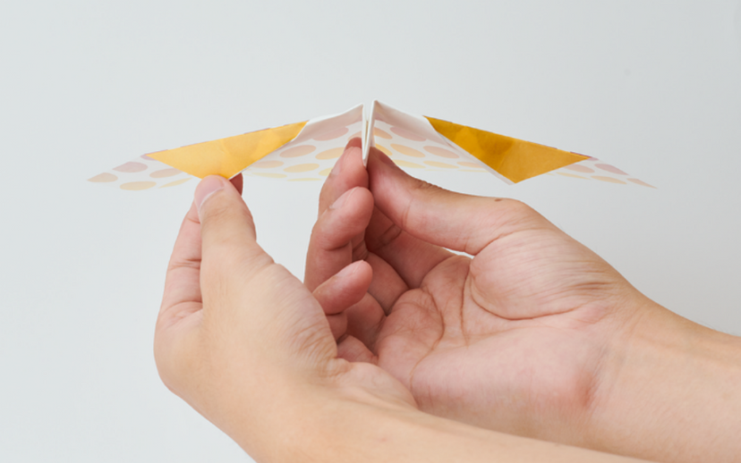 Papillon Origami Airplanes B1