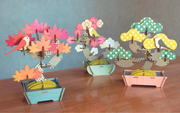 Play Plants Bonsai Puzzles H8