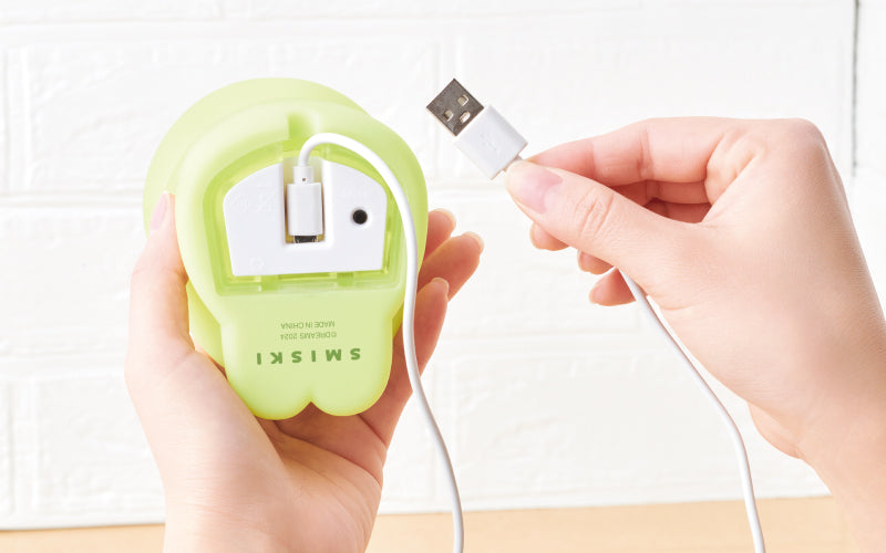 SMISKI Touch Light C2