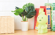 SMISKI Touch Light C2