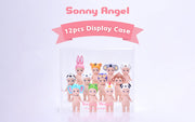 Acrylic Display Case K8