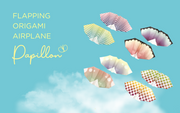 Papillon Origami Airplanes B1