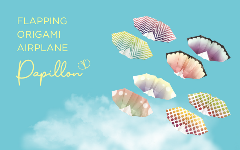 Papillon Origami Airplanes B1