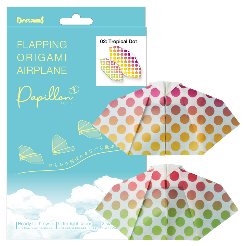Papillon Origami Airplanes B1