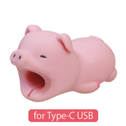 CABLE BITE for Type-C USB K5