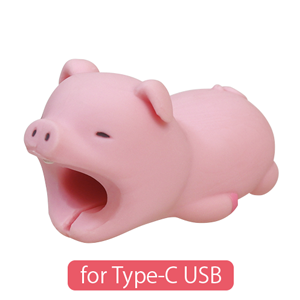 CABLE BITE for Type-C USB K5